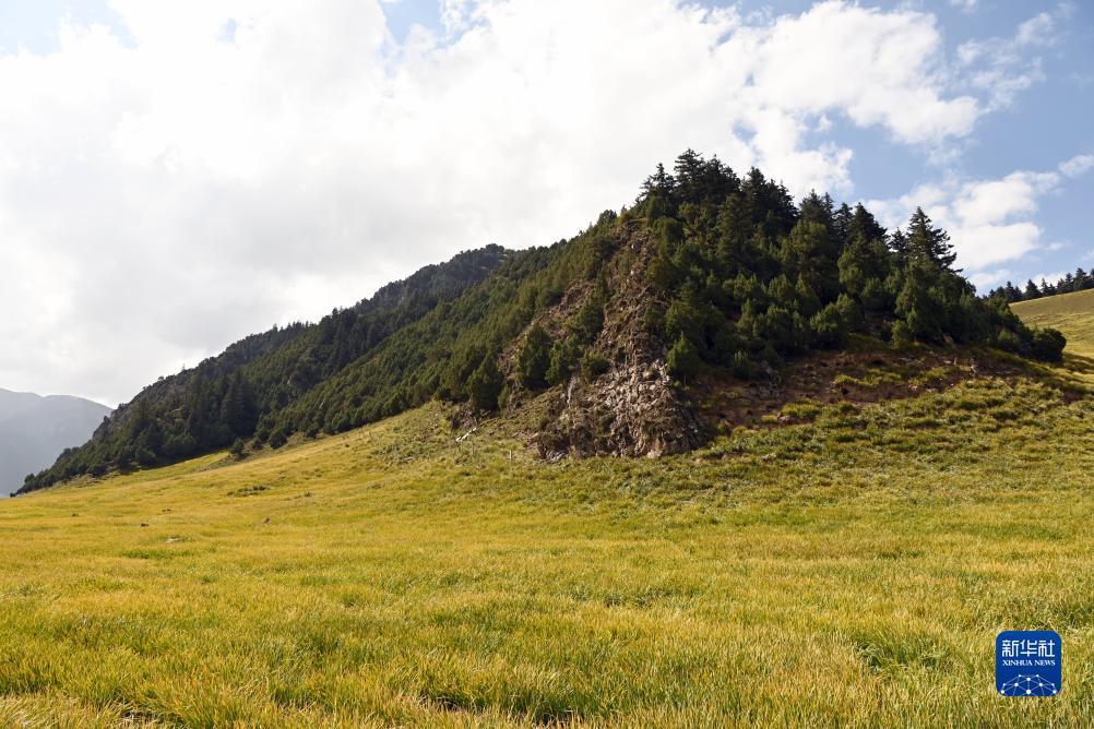 澳门太阳赌城集团2007